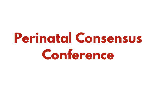 Perinatal Consensus Conference 2022