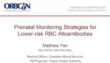 Prenatal Monitoring Strategies for Lower-risk RBC Alloantibodies